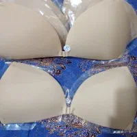 لباس زیر|لباس|بوشهر, |دیوار