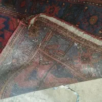 فرش|فرش|قزوین, |دیوار