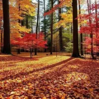 آپارتمان ۶۰مترنیکسازان مجتمع نور۳