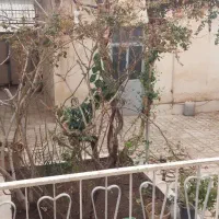 ویلایی ۲۴۷ متر دوطبقه خیابان  هویزه