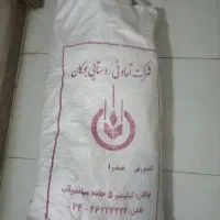 گندم بذر صدرا درجه یک دیم