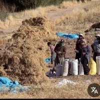 کارگری