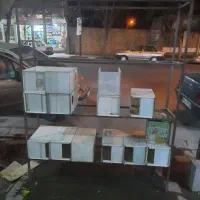 لوازم حیوانات|لوازم جانبی حیوانات|نیشابور, فردوسی جنوبی|دیوار