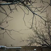 خانه دربست حیاطی اجاره ای