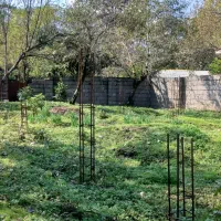 422متر-زمین-جنگلی-منطقه-برند-مدارک-تکمیل