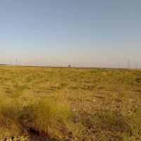 فروش زمین کشاورزی|فروش دفتر صنعتی، کشاورزی، تجاری|آبیک, |دیوار