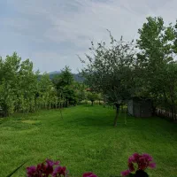 اجاره ویلا جنگلی ۲