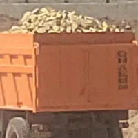 آجر سه گل مرودشت