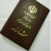 شناسنامه گم شده