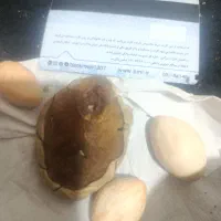 حرموره قدیمی