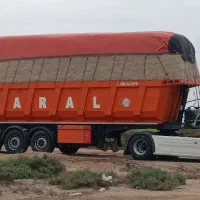 کاه نیشکر،  باگاس