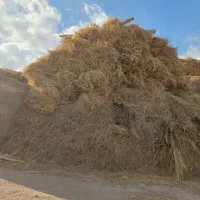 یونجه درجه یک