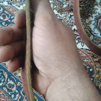 یک جفت کمربند چرم گاوی اصل زخیم 1/5 متری|کیف، کفش، کمربند|قم, قلعه کامکار|دیوار