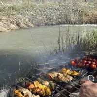 تور گردشگری اینجا رو بخون