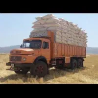 الک شده خرمنکوب|خدمات باغبانی و درختکاری|تربتحیدریه, پائین ولایت|دیوار