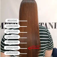 مدل پروتیین‌ تراپی‌/هزینه مواد ظرفیت محدود