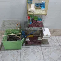 قفس پرنده