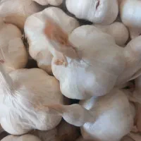 سیرهمدان