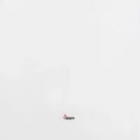 پکیج 24هزار مدل پارما بوتان