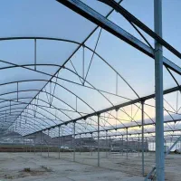 گلخانه-12هزارمتری