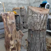 تنه چوب گردو و سنجد خشک مناسب ظروف چوبی|صنایع دستی و سایر لوازم تزئینی|تبریز, |دیوار