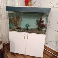 اکواریوم شیشه خم ۱ متری