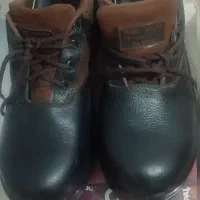 کفش کار.