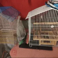 دوتا قفس غلامی، جفت تل|لوازم جانبی حیوانات|ایلام, |دیوار