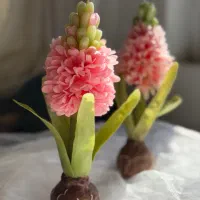 شمع سنبل دستساز