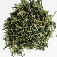 پیازو (تره کوهی) اصل بوانات|خوردنی و آشامیدنی|شیراز, شهرک نیروی انتظامی|دیوار