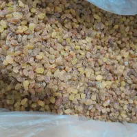 کشمش درجه ۱و۲|خوردنی و آشامیدنی|اهواز, نادری|دیوار