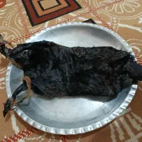 خیگ کوچیک مناسب تازه عروس