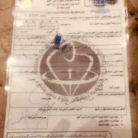 کره پلنگ قشقایی با برگه کشش