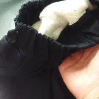 شلوار تو کرکی