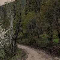زمین-کوشک