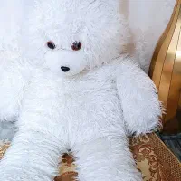 خرس شاسخین|اسباب‌بازی بچه|تهران, قصر فیروزه ۲|دیوار