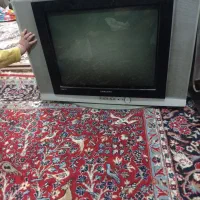 تلویزیون