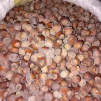 فندق درجه یک جنگلی|خوردنی و آشامیدنی|نمین, |دیوار