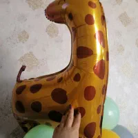 تولد|اسباببازی|اصفهان, مهدیه|دیوار