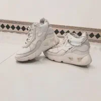 کفش|کیف، کفش، کمربند|بروجرد, |دیوار