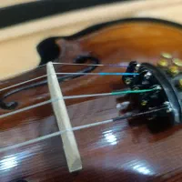 ویولن تیان|ویولن|بندر ماهشهر, |دیوار