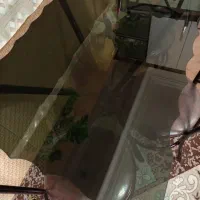 میز ناهار خوری|میز و صندلی غذاخوری|قم, چهل درخت‎|دیوار