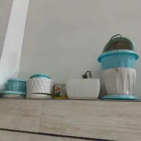 گل وگلدان|گل و گیاه طبیعی|محمدیه-قزوین, |دیوار