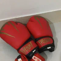 دستکش بوکس|تجهیزات ورزشی|نورآباد ممسنی, |دیوار