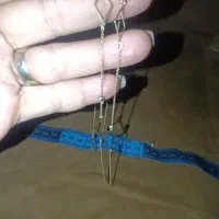 رولباسی طلا