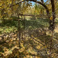 قفس بزرگ سگ