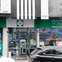 استخدام نیرو