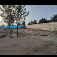 باغچه 500 متری چهار دیواری زیر قیمت|فروش زمین و ملک کلنگی|کهریزک, |دیوار