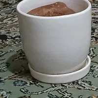 درحدنو