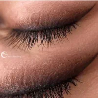 میکرو بلیدینگ ابرو و خط چشم و شیدینگ لب|خدمات آرایشگری و زیبایی|مشهد, شریف|دیوار